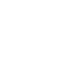 insect-1-1